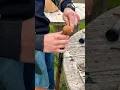 LOADING AND SHOOTING BLACKPOWDER RIFLE
