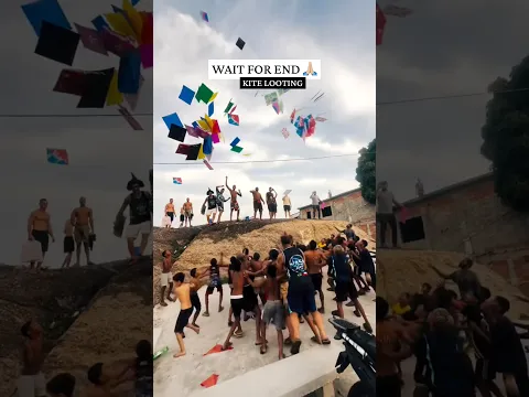 Kite Looting Video #kite #kiteflying #kites #kitefestival #patang #youtubeshorts #shorts #viral