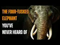 Download Lagu The Four-Tusked Elephant You’ve Never Heard Of | Gomphotherium Documentary