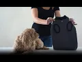 How to Tips BellyGuard Dog Recovery Garment