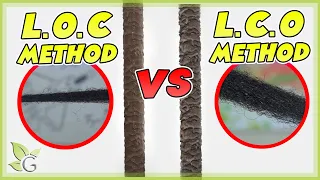 Download LOC or LCO, which is better for your hair’s porosity MP3