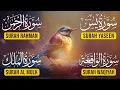 Lagu Surah Yasin | Surah Rahman | Surah Waqia | Surah Mulk | Full HD | Path Of Noor 080