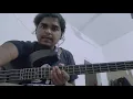 Vulfpeck - Darwin Derby |Bass Cover|