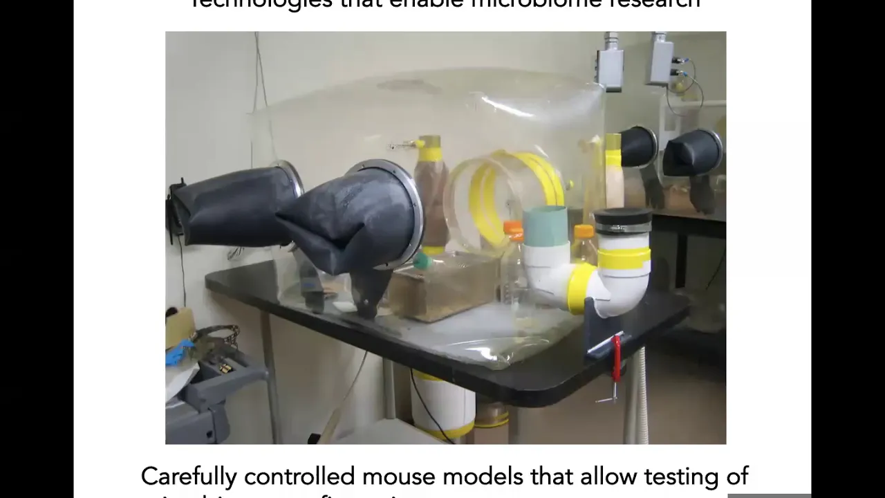 Gut Microbiota as a Lever to Improve Human Health