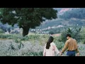 Download Lagu Rex Orange County - the shade (sped up + reverb/nightcore)