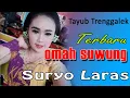 Download Lagu Tayub Omah Suwung Seni karawitan Suryo laras Trenggalek