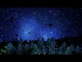 SZA - Open Arms (just SZA) (Lyric Video)