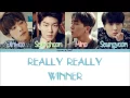 WINNER - REALLY REALLY Color Coded Eng