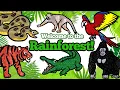 Let s Draw Rainforest Animals Together Drawing and Coloring with Glitter Googly Eyes