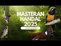 Download Lagu MASTERAN HANDAL 2025 !!! CUCAK CUNGKOK, KAPAS TEMBAK, CILILIN