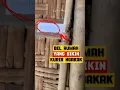 Download Lagu BEL RUMAH UNIK YANG BIKIN KURIR PAKET KETAWA NGAKAK ‼️😂🤣