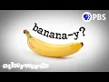 The English Language Has a Smelly Problem Otherwords