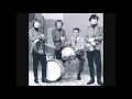 McCoys - Hang On Sloopy (single edit) (NEW STEREO MIX) (1965)(US#1)