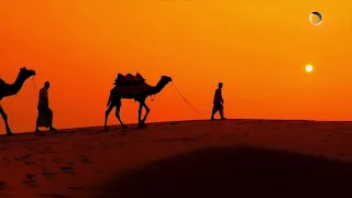 ربك رب قلوب عيشها معاه ببساطة  غناء والالحان    علي الهلباوي  علي الهلباوي  قنوات نور  رمضان٢٠٢٦ دندنها