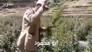 فيصل علوي يامنيتي قديم لحن مختلف دندنها