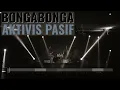 Aktivis Pasif - bongabonga