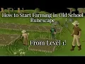 How to Start Farming In Old School Runescape Guide for New Players