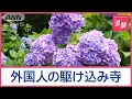 Download Lagu 鎌倉の観光案内所に密着　外国人注目の新名所＆新感覚グルメ　「任せる」ムチャ振りも【Jの追跡】【スーパーJチャンネル】(2025年6月21日)