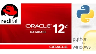 How to connect to Oracle database using Python in Windows