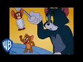 Download Lagu Tom \u0026 Jerry | A Day With Tom \u0026 Jerry | Classic Cartoon Compilation | WB Kids