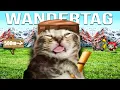 Lagu Wandertage in der Schule sind ein Fiebertraum
