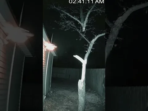 We Caught Witches on Our CCTV Cameras π±π±