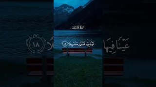 عينا فيها تسمى سلسبيلا سورة الانسان للقارئ محمد اللحيدان Quran Fyp Viral Views Islam اسلام 