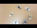 WoodTurningz Fidget Spinners
