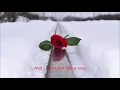 Like A Rose - Ashley Monroe - Lyric video