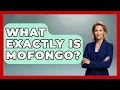 What Exactly Is Mofongo - Pocket Friendly Adventures
