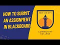Submitting an assignment in Blackboard 2