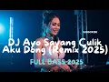 Download Lagu DJ Ayo Sayang Culik Aku Dong Viral TikTok 💥 Remix Nisa Fauzia x Pixel Beats