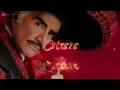 Vicente Fernández - Un Millón de Primaveras (Letra/Lyrics)