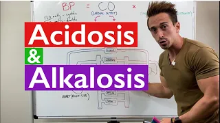 Download Acidosis and Alkalosis MADE EASY MP3