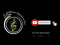 Sound of FOREST, Crickets, Cicadas, Insects | 24h NATURE SOUND FOR SLEEP, MEDITATION, & FOCUS 🌿🌙