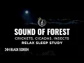 Download Lagu Sound of FOREST, Crickets, Cicadas, Insects | 24h NATURE SOUND FOR SLEEP, MEDITATION, \u0026 FOCUS 🌿🌙
