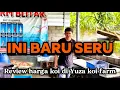 Lagu Ini baru seru‼️review harga koi di Yuza koi Farm Wlingi blitar