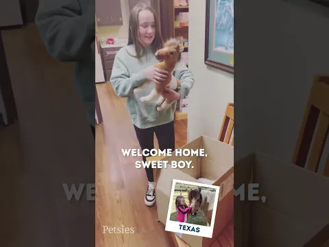 Hardest Part Of What We Do | MyPetsies
