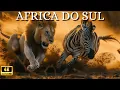 Download Lagu África Selvagem | O Encanto das Terras Selvagens da África | Da Savana ao Oceano Documentário