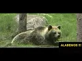 Alabemos:Marcos Witt feat T-Bone