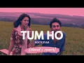 Download Lagu Tum Ho - Mohit Chauhan (Rockstar) [slowed + reverb]