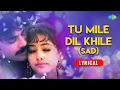 Download Lagu Tu Mile Dil Khile - Lyrical | Kumar Sanu and Alka Yagnik | Criminal | Classic Sad Songs | Old Songs