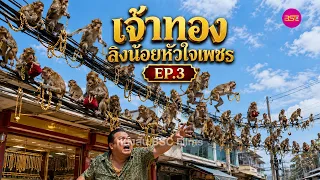 เจ้าทอง ลิงน้อยหัวใจเพชร EP.3