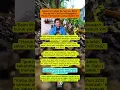 Download Lagu Sadari 3 Tabiat Burvknya, Baim Wong Kini Cari Istri Pengganti Paula Verhoeven yang Seperti Ini #fyp