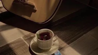 عبدالله المانع   اوعدك ارحل دندنها