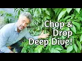 Elder Pruning Syntropic Ag and Chop and Drop Ideas