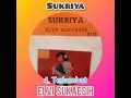 Download Lagu Elvy Sukaesih - Terlambat
