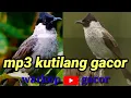 Download Lagu MP3 KUTILANG GACOR @warkopgacor