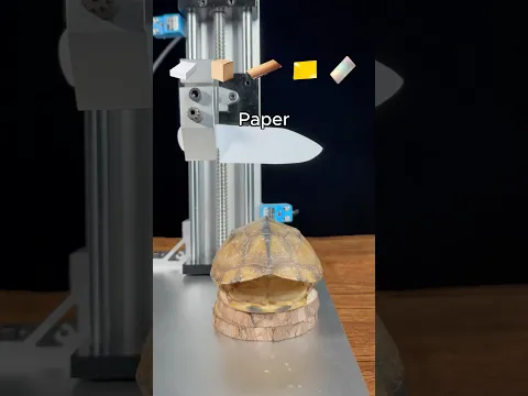 Knife vs Turtle Shell
