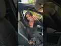 Aroma360 Smart Car Diffuser